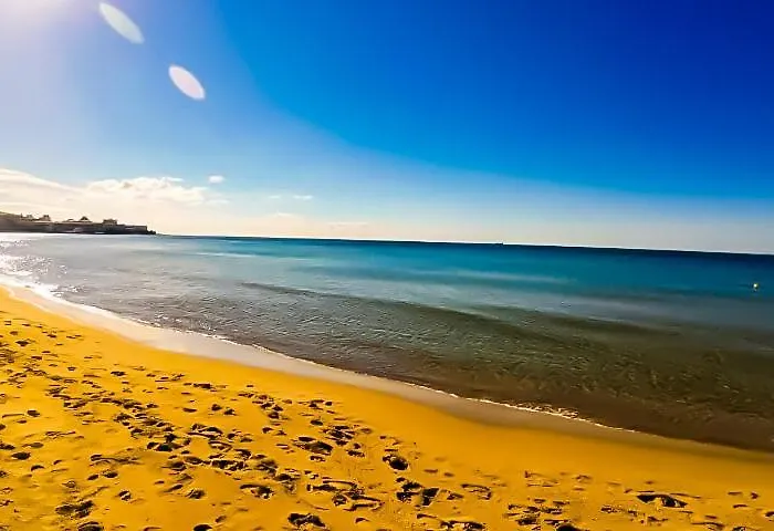 William's - Third Special * Свети-Влас