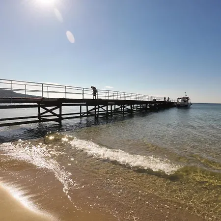 William's - Third Special Daire *