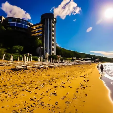 William's - Third Special * سفيتي فلاس