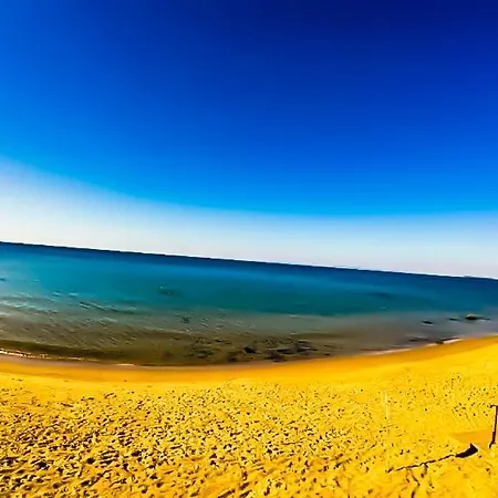 William's - Third Special * Szveti Vlasz