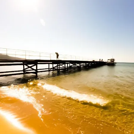 William's - Third Special Apartman *