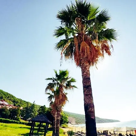 شقة William's - Third Special *