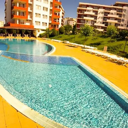 William's - Third Special سفيتي فلاس