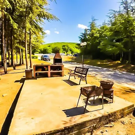 William's - Third Special سفيتي فلاس