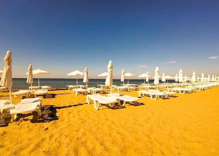 William's - Third Special